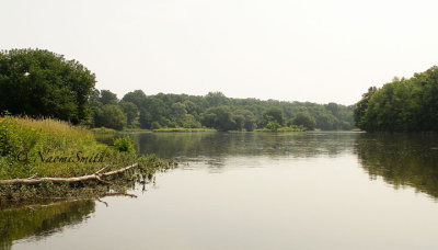 Grand River Cambridge AU14 #8828
