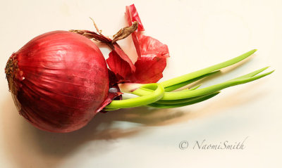 Red Onion D16 #3890
