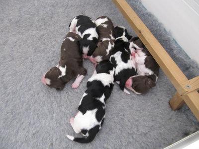 At 5 days old