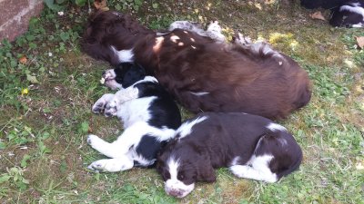 Having a rest