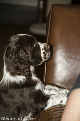Please mum, let me come up for a cuddle