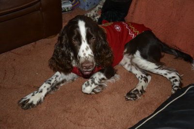 My Xmas jumper
