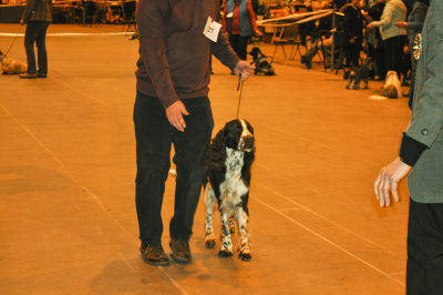 UK Paper Leisure Club Canine Society