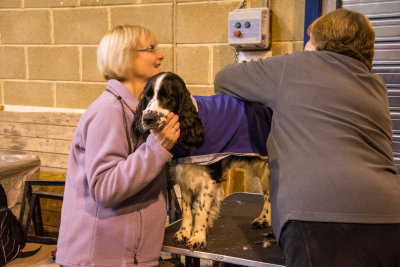 East Kent Canine Society Dog Show