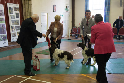 SESSS Champ Show, Chalfont St Giles, Feb 21st 2015