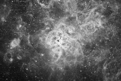 NGC 2070 - Tarantula Nebula