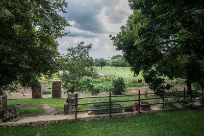DSC_6576.jpg