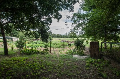 DSC_6579.jpg