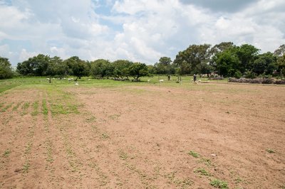 DSC_6589.jpg