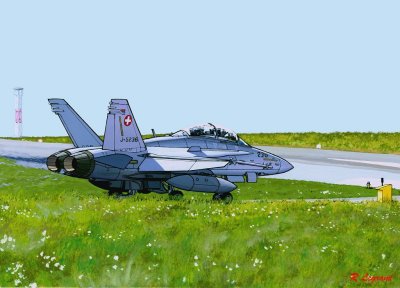 McDonnell Douglas F/A-18 D Hornet