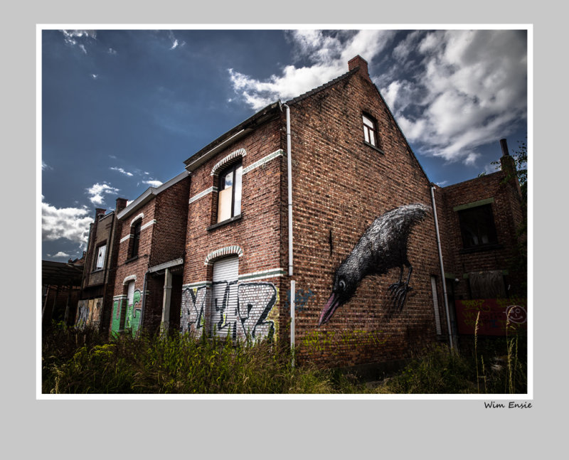 houses in Doel