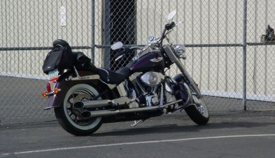 nice Harley Davidson Motorcycle