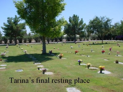 Tarina's final resting place 