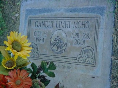 Gandhi Limhi Moho