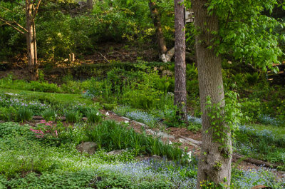 Linear Park-N. Washington St.-3721.jpg