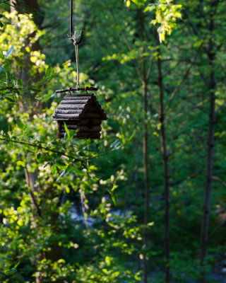Linear Park-N. Washington St.-3726.jpg