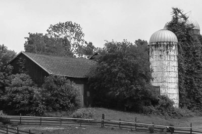 Farm Scene