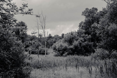 Ominous Skies