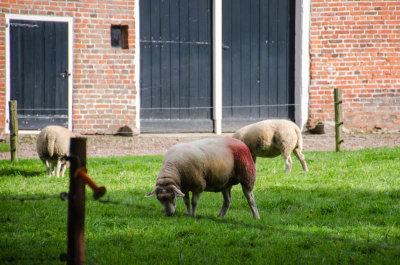 Groningen
