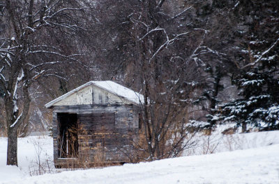 Old Shed