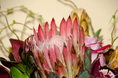 Floral Arrangement