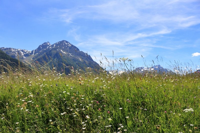 Hiking Around Guarda