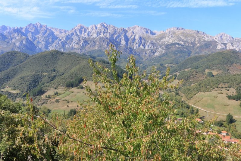 Picos de Europa