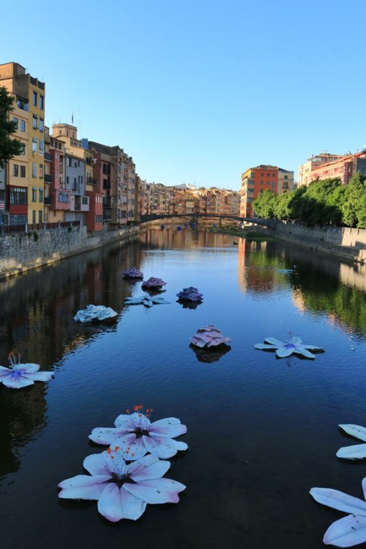 Girona. Temps de Flors