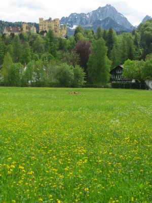 Springtime in Hohenschwangau