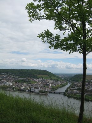 Bingen am Rhein seen from across the River