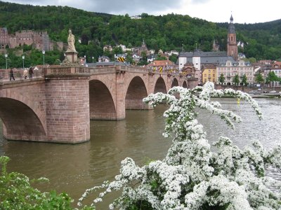 Heidelberg. Alte Brcke (Old Bridge)