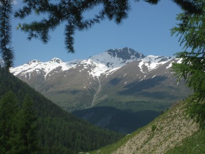 g9/47/949547/3/152117789.C5Xi16sk.jpg
