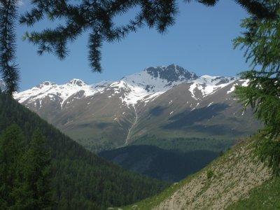 Swiss National Park