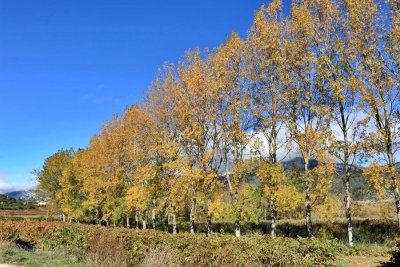 Autumn in La Rioja