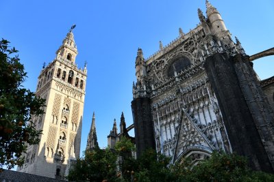 Catedral y La Giralda