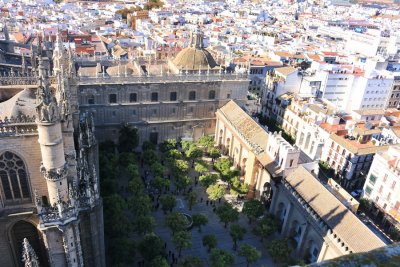 Catedral. Patio de los Naranjos