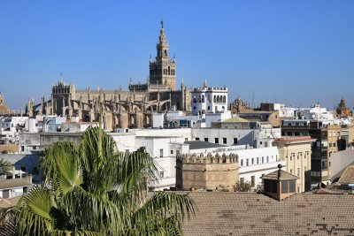 La Catedral. Vista desde la Torre del Oro