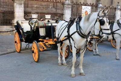 Coches de Cabalos