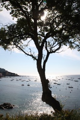 Calella de Palafrugell