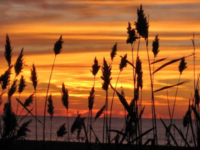 Sortida del Sol a La Costa Brava