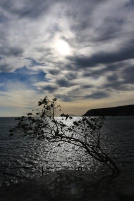 Badia de Cadaqués