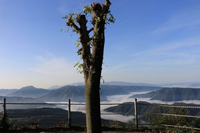 Vista des del Santuary del Far