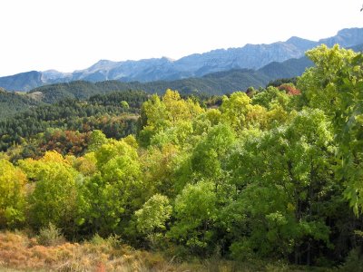 Parc Natural del Cad-Moixer