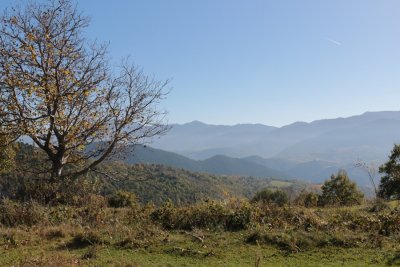 Tardor al Parc