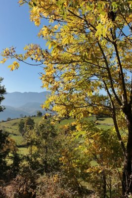 Tardor al Parc