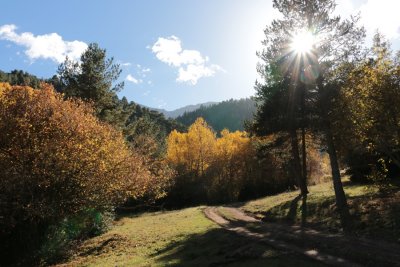 Tardor al Parc. Santuary de Bastanist