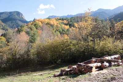 Tardor al Parc. Santuary de Bastanist