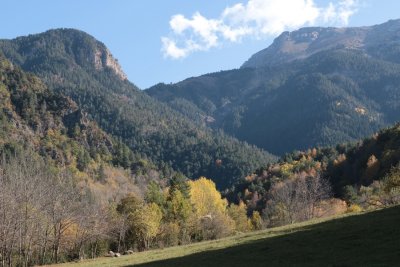 Tardor al Parc