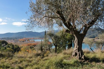 Banyoles. Vista des del Puig de Sant Martiri