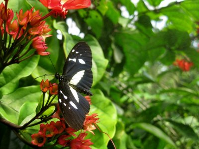 Botanical Garden in Aarhus